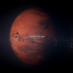 董卿被躁120分钟
