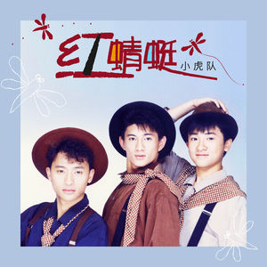 董卿被躁120分钟
