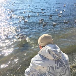 董卿被躁120分钟
