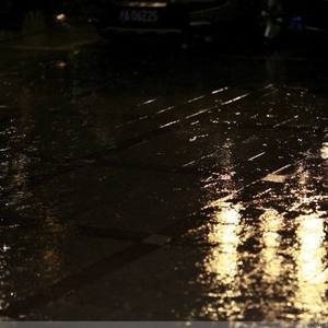 董卿被躁120分钟
