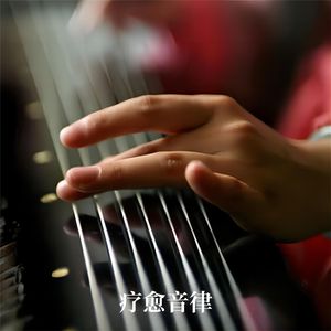 董卿被躁120分钟
