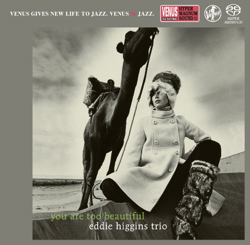 董卿被躁120分钟
